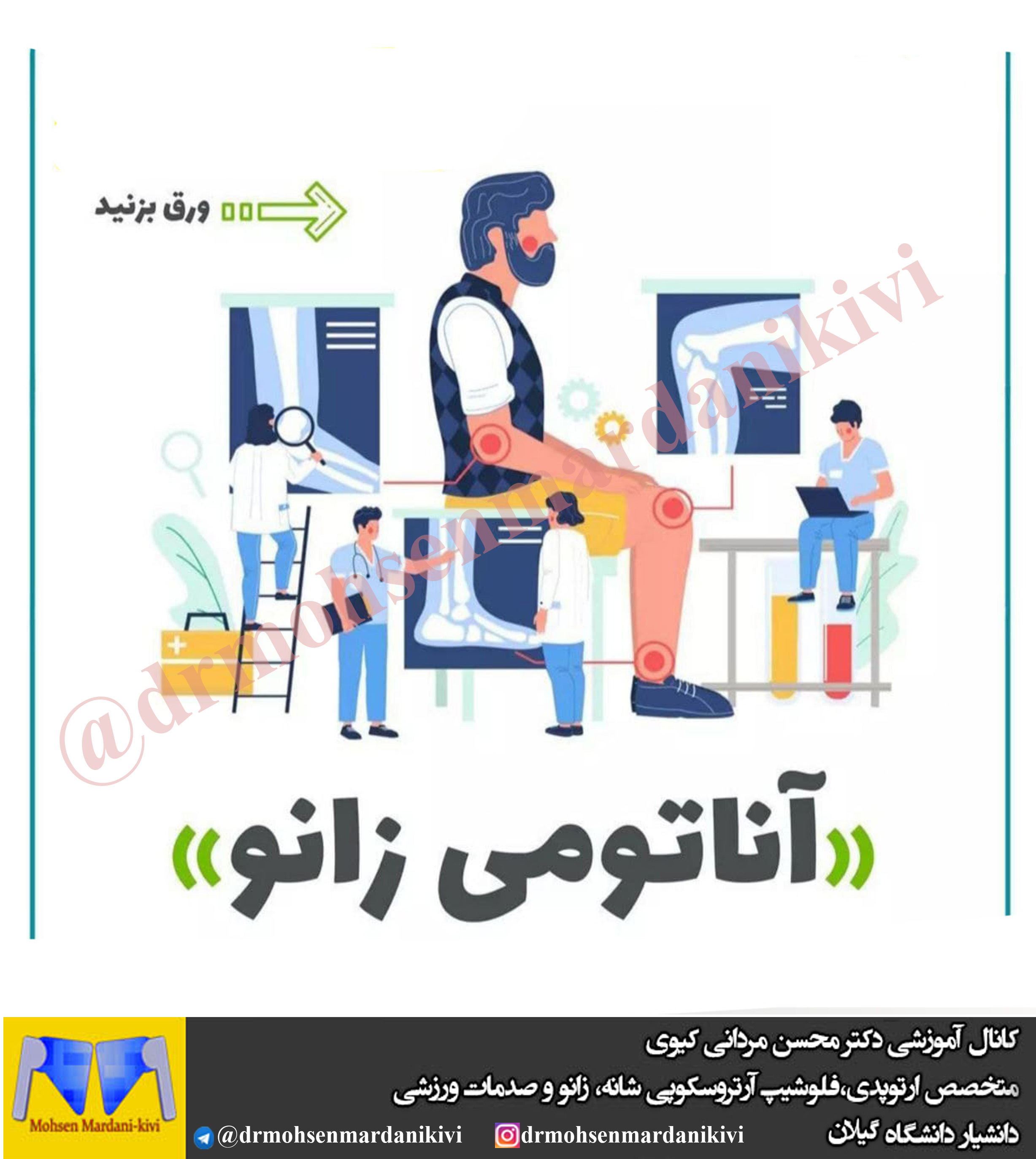 آناتومی زانو