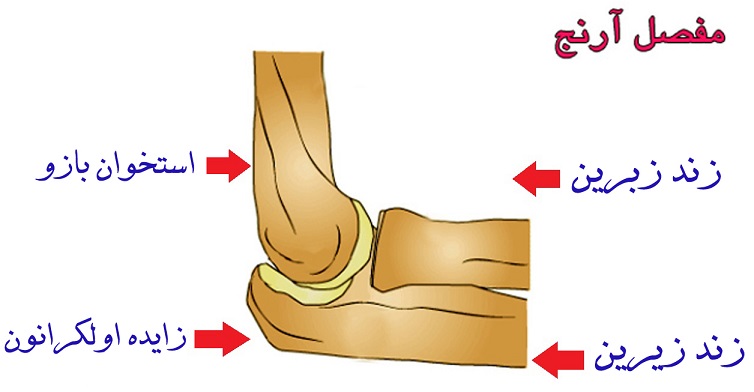  دررفتگی مفصل آرنج