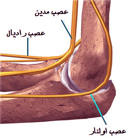 عوارض دررفتگی مفصل آرنج