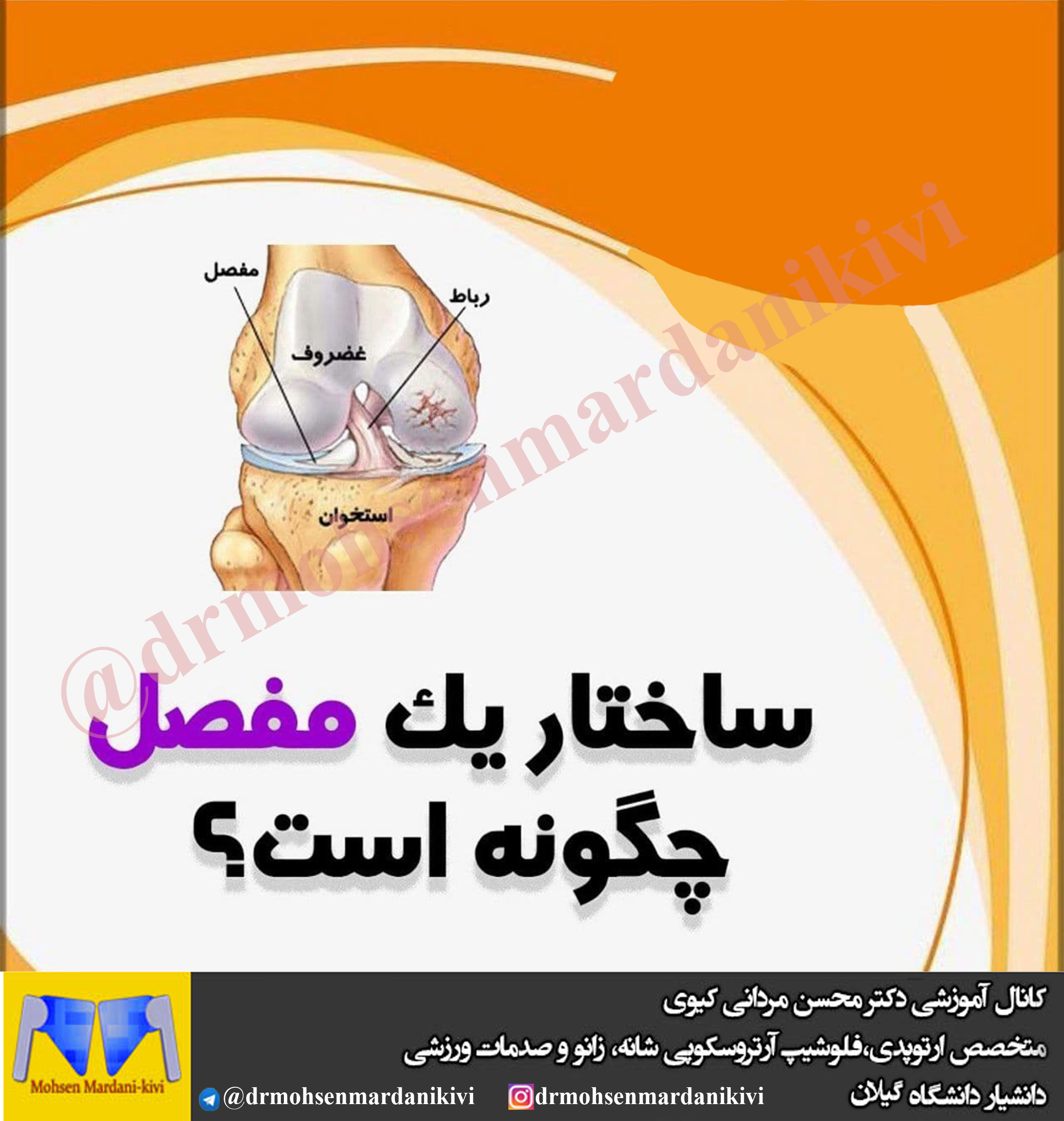 🔴ساختار یک مفصل چگونه است ؟